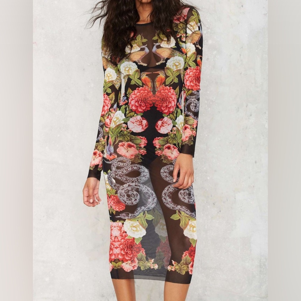 Nasty Gal Sheer By Nature Mesh Maxi Dress